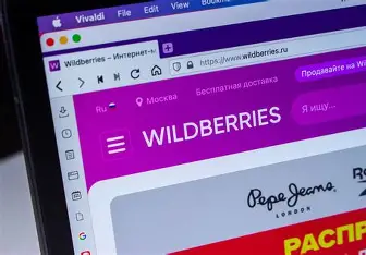Wildberries宣布佣金调整:FBS模式普遍上涨3.5%，DBS/DBW按品类浮动
